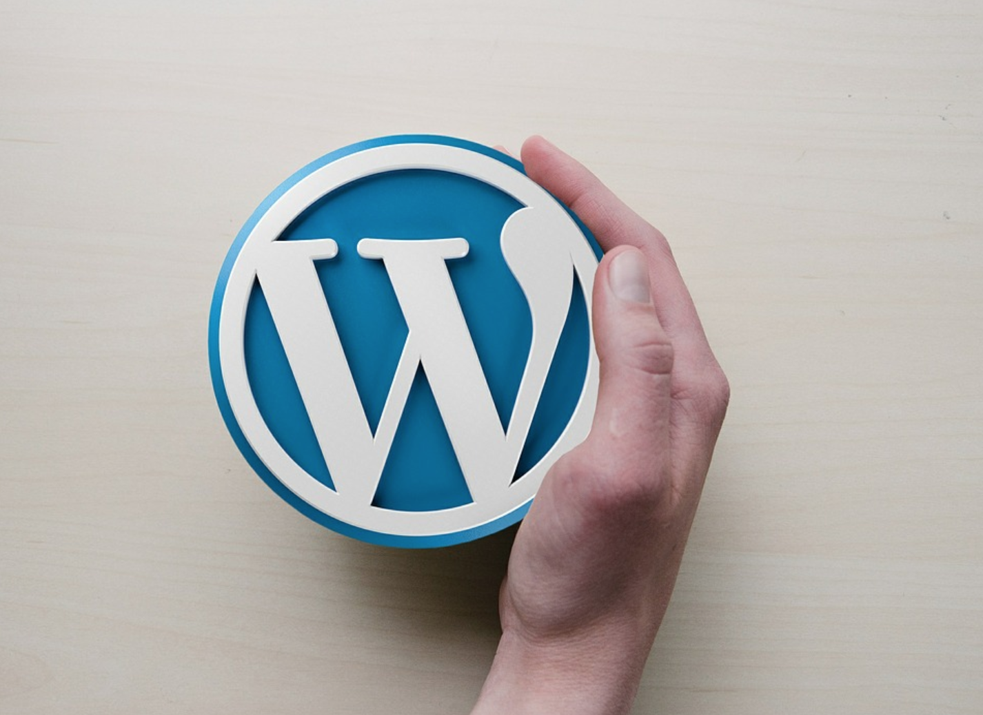 Wordpress Websites and blogs