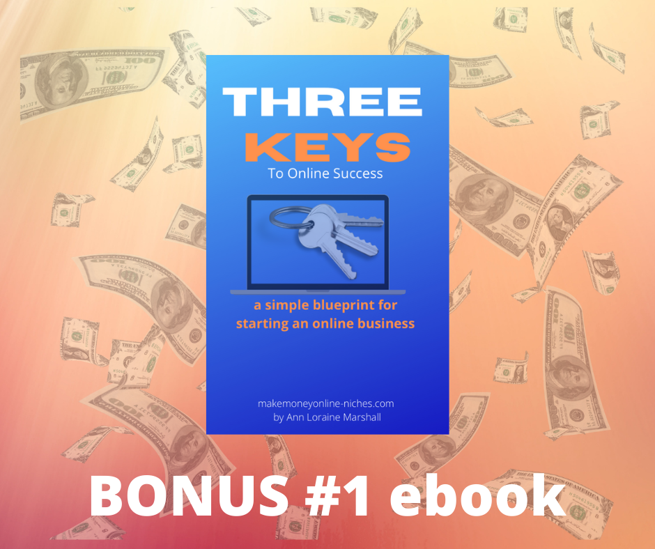 Webinarloop BONUS #1 Three Keys to online Success