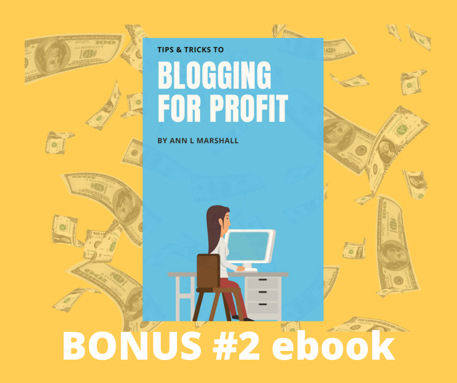 PAGRPRO BONUS #2 Blogging for Profit 